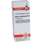 Abies Canadensis D 8 Globuli