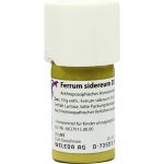 Ferrum Sidereum D3 Trituration 20 gr