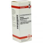 Acidum Phosphoricum D 6 Dilution 20 ml