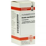 Arundo Mauritanica C 30 Globuli