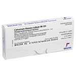 Cichorium Stanno Cultum Rh D3 8X1 ml fiale