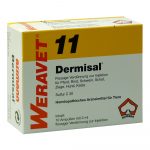 Dermisal 11 fiale veterinario.