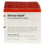 SILICEA INJEEL  - FIALE 100 X 1,1 ML