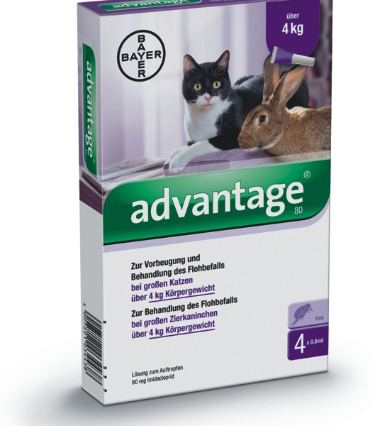 ADVANTAGE 80 mg per gatti grandi e conigli grandi ornamentali