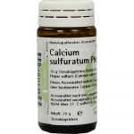 Calcium Sulfuratum Phcp Globuli 20 GR