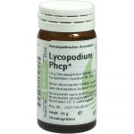 Lycopodium Phcp Globuli 20 GR