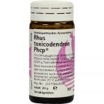 Rhus Toxicodendron Phcp Globuli 20 gr