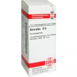 Aesculus D 6 Globuli