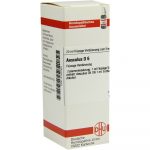 Aesculus D 6 Dilution 20 ml