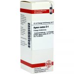 Agnus Castus D 4 Dilution 20 ml