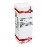 Alfalfa D 4 Dilution 20 ml