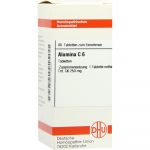 Alumina C 6 80 compresse