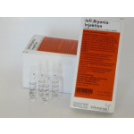 Infi Bryonia Injektion 10 fiale