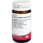 Arnica E Planta Tota D2  -GLOBULI 20 GR