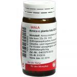 Arnica E Planta Tota D20 - GLOBULI  20 GR