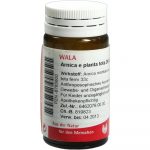 Arnica E Planta Tota D6 - GLOBULI 20 GR