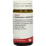 Chelidonium E Planta Tota D6 - GLOBULI 20 GR