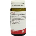 Cichorium E Planta Tota D3 - GLOBULI 20 GR