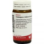 Crataegus E Foliis et Fructibus D6 - GLOBULI 20 GR