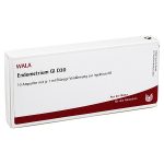 Endometrium GL D30 - FIALE 10 X 1 ML