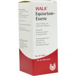 Equisetum Essenza - 100 ML