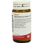 Equisetum EX Herba D15 - GLOBULI 20 GR