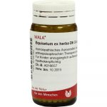 Equisetum EX Herba D6 - GLOBULI 20 GR