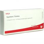 Equisetum/Formica - FIALE 10 X 1 ML