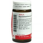 Equisetum/Viscum - GLOBULI 20 GR