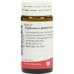 Euphrasia E Planta Tota D4 - GLOBULI 20 GR