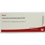 Fasciculus Atrioventr. GL D8 -FIALE 10 X 1 ML