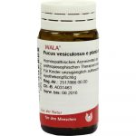 Fucus Vesiculosus e Planta Tota D2 - GLOBULI 20 GR