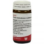 Fucus Vesiculosus e Planta Tota D6 - GLOBULI 20 GR