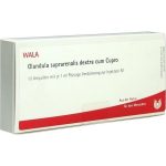 Glandula Suprarenales Dextra cum Cupro - FIALE 10 X  1 ML