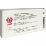 Glandulae Suprarenales Comp. - FIALE 10 X 1 ML