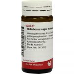 Helleborus Niger E Planta Tota D12 - GLOBULI 20 GR