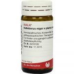 Helleborus Niger E Planta Tota D6  -GLOBULI 20 GR