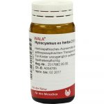 Hyoscyamus EX Herba D10 - GLOBULI 20 GR