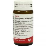 Hyoscyamus EX Herba D3 - GLOBULI 20 GR