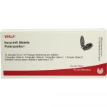 Iscucin Abietis Potenzreihe I - FIALE 10 X 1 ML