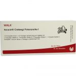 Iscucin Crataegi Potenzreihe I - FIALE 10 X 1  ML