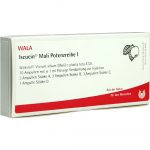 Iscucin Mali Potenzreihe I - FIALE 10 X 1 ML
