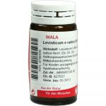 Levisticum E Radice D6  -GLOBULI 20g