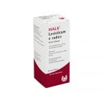 Levisticum E Radice W 5% Öl