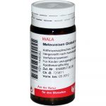 Meteoreisen (Ferrum sidereum + Phosphorus + Quarz) Globuli velati 20 GR