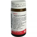 Organum Quadruplex - GLOBULI 20 GR