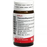 Pancreas/Equisetum - GLOBULI 20 GR