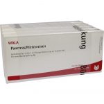 Pancreas/Meteoreisen - FIALE 50 X 1 ML