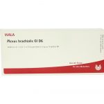 Plexus Brachialis GL D6 - FIALE 10 X 1 ML