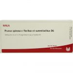 Prunus Spinosa e Floribus et Summitatibus D6 - FIALE 10 X 1 ML